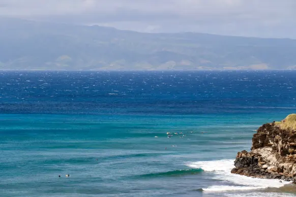 Casino Two Fat Ladies Bingo Tugi